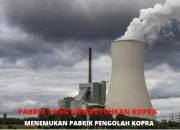 Daftar Pabrik Yang Membutuhkan Kopra Tahun 2024