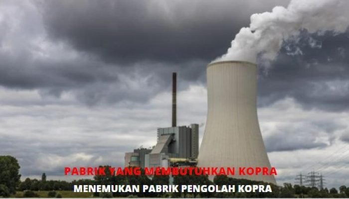 Daftar Pabrik Yang Membutuhkan Kopra Tahun 2024