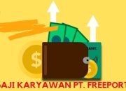 Daftar Gaji Karyawan PT Freeport Indonesia