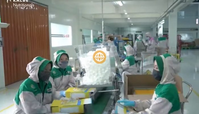 Lowongan Kerja PT Sanghiang Perkasa (Kalbe Nutritionals)